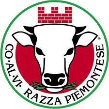 Logo Coalvi